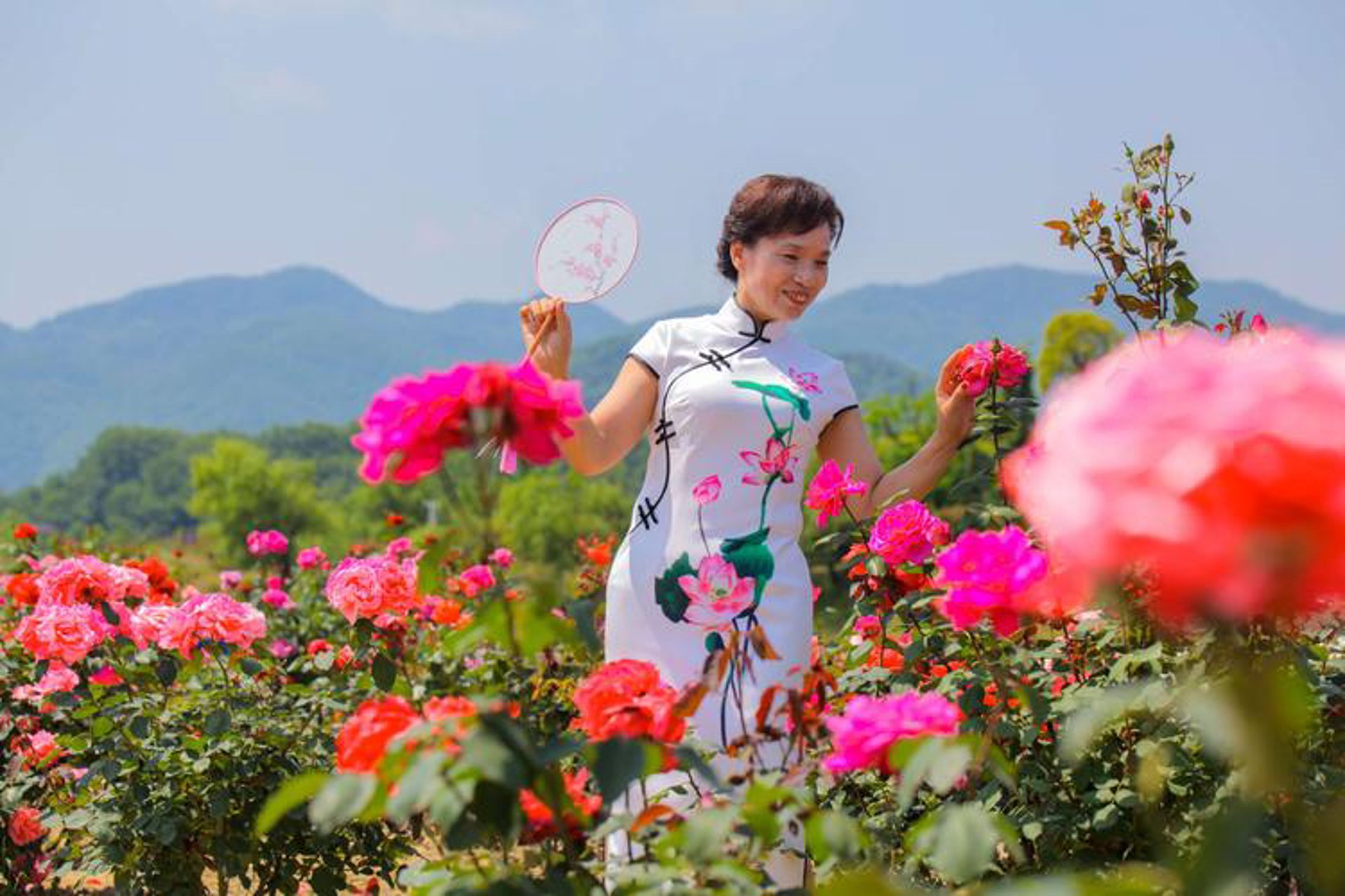 鲁冰花婚纱摄影